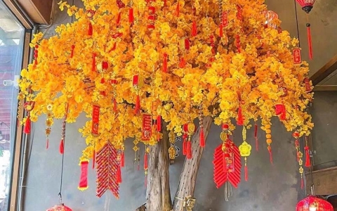 Gợi ý mẫu mô hình cây mai vàng Tết mút xốp phù hợp nhiều không gian