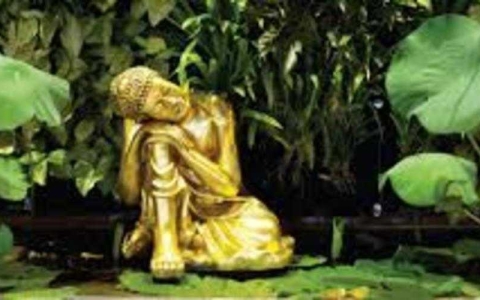 Một Số Điều Cần Lưu Ý Khi Bày Trí Tượng Phật Trong Nhà