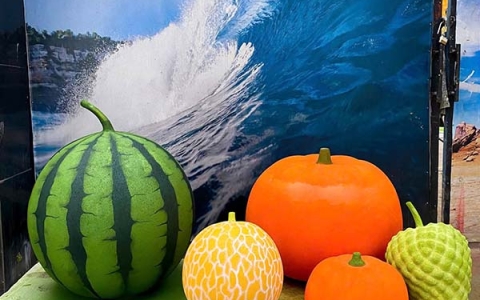 Ý tưởng trang trí tết với mô hình trái cây khổng lồ 