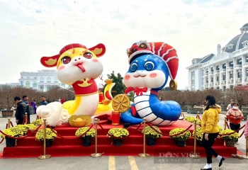 Cắt Mút Xốp Theo Yêu Cầu Chuyên Nghiệp