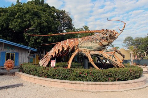Mô hình tôm khổng lồ